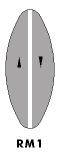 No overtaking lines. You may not drive with any part of your vehicle on the right-hand side of this line except for the limited cases allowed by the rules.